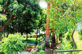 La Marina (adults Only) Hotel Alanya